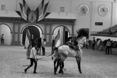Real Escuela Arte Equestre-10